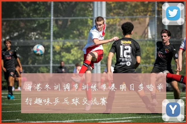 海港冬训调节训练节奏明日多哈举行趣味乒乓球交流赛