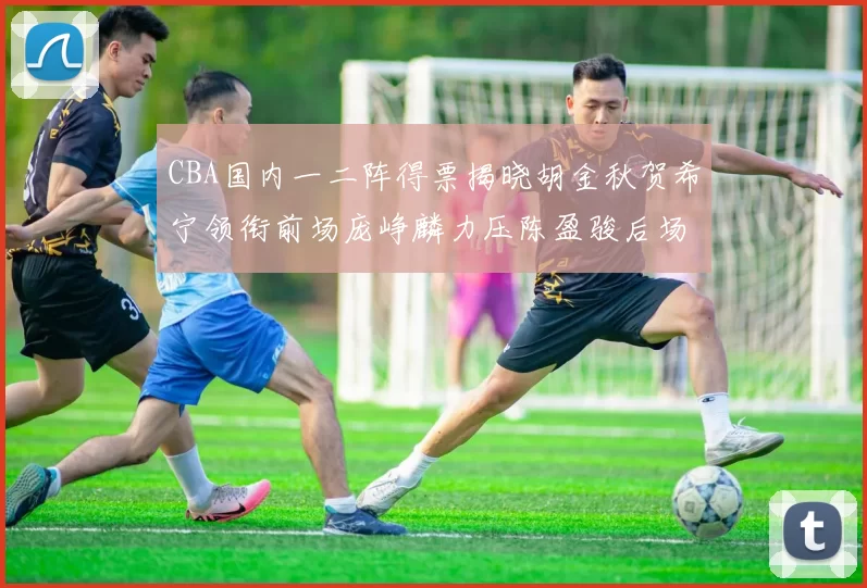 CBA国内一二阵得票揭晓胡金秋贺希宁领衔前场庞峥麟力压陈盈骏后场