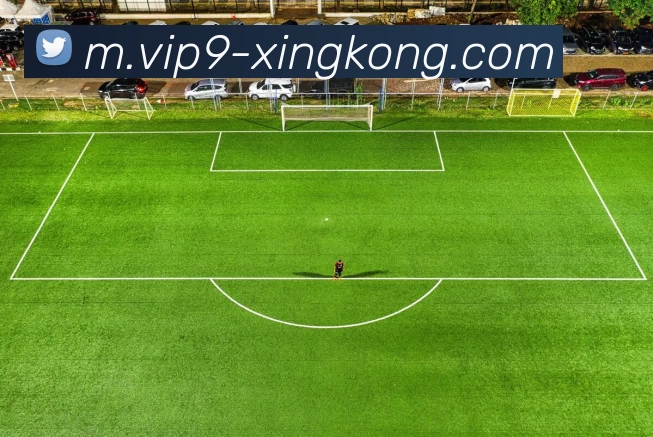 星空体育平台生态图