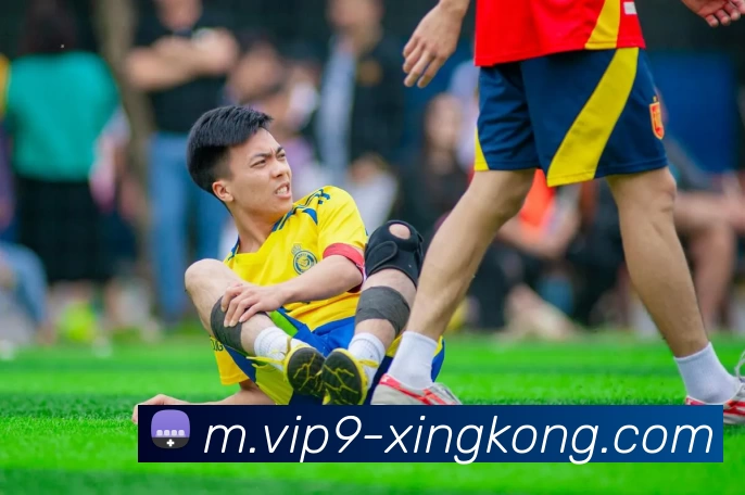 星空体育APP 封面图